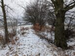 Hraničný val pomaly zarastá a chodí sa vedľa (vľavo územie ČR, ktorým vedie trasa) (2024)